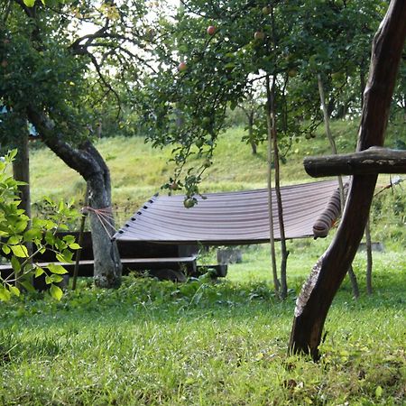Садиба Під Гострою 즈데니에보 외부 사진